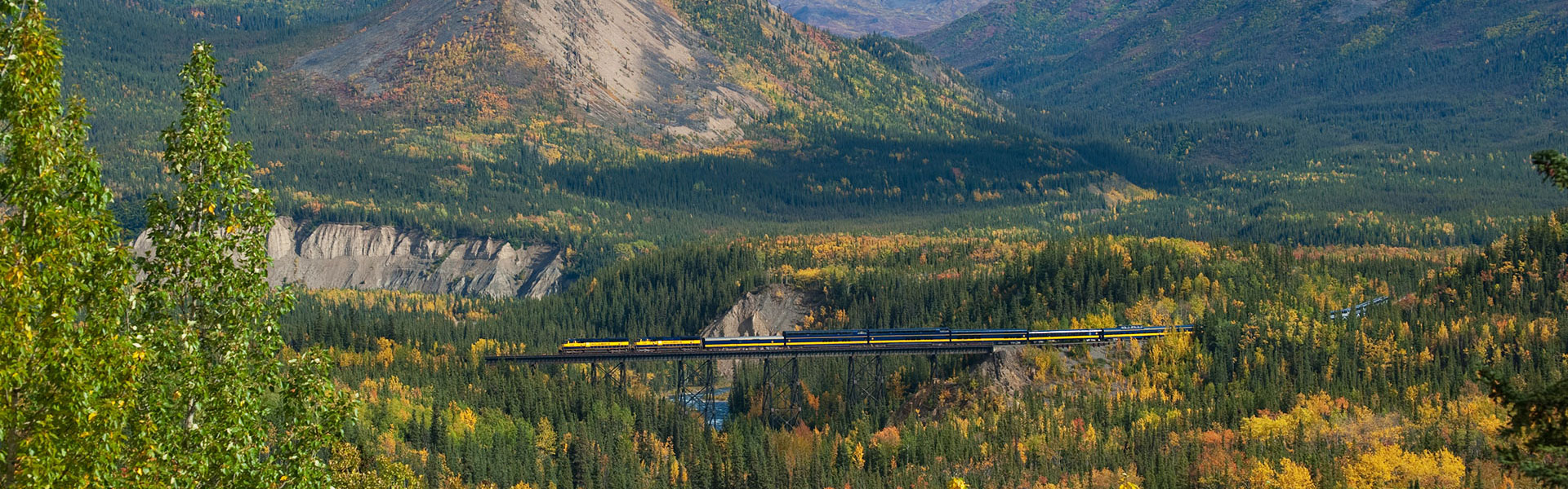 Alaska Rail Tours | Best Alaska Rail Trips
