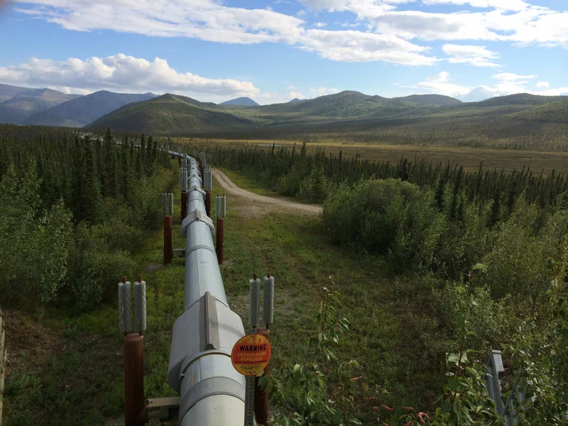 Alaska Land Tour with Arctic Circle Tour | Alaska Pipeline Dalton Highway