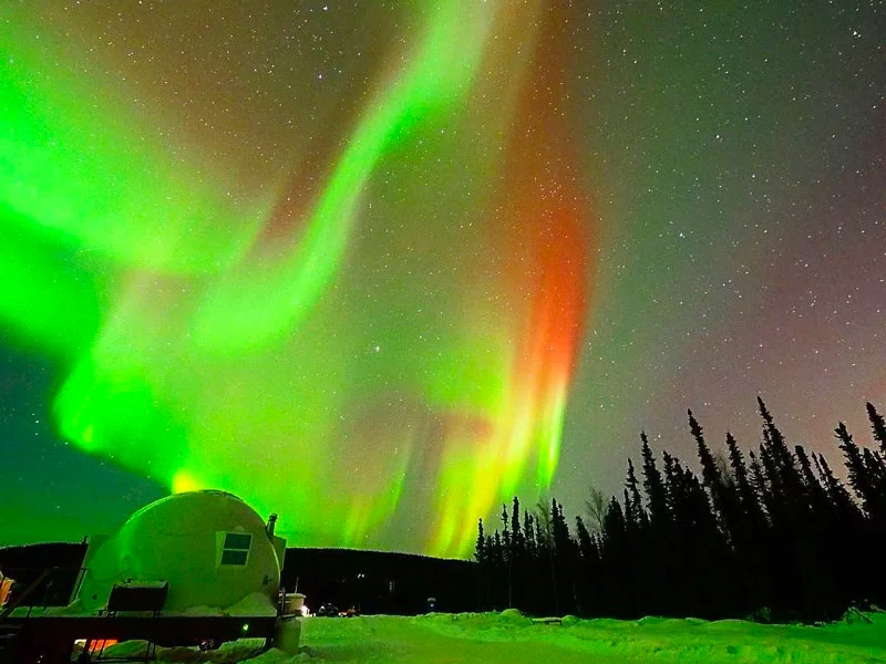 Alaska Northern Lights Aurora Train | Winter Delights