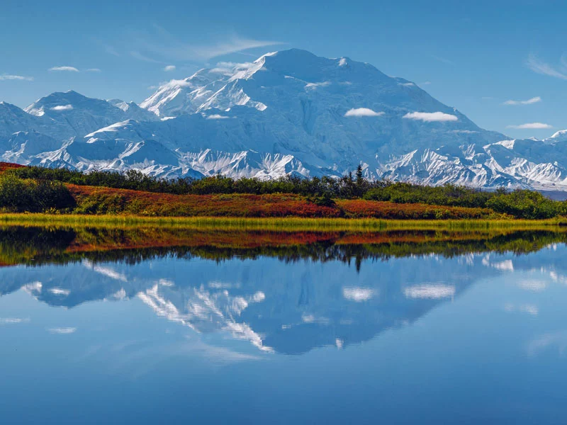 Alaska Rail & Road Trip Circle Tour | Denali National Park