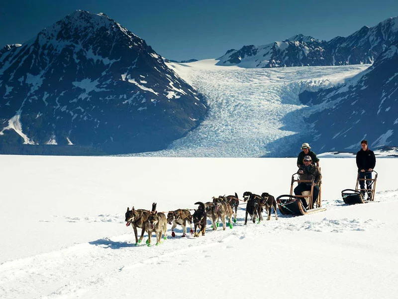 Alaska Self-Drive Tour | Glacier Dog Sledding