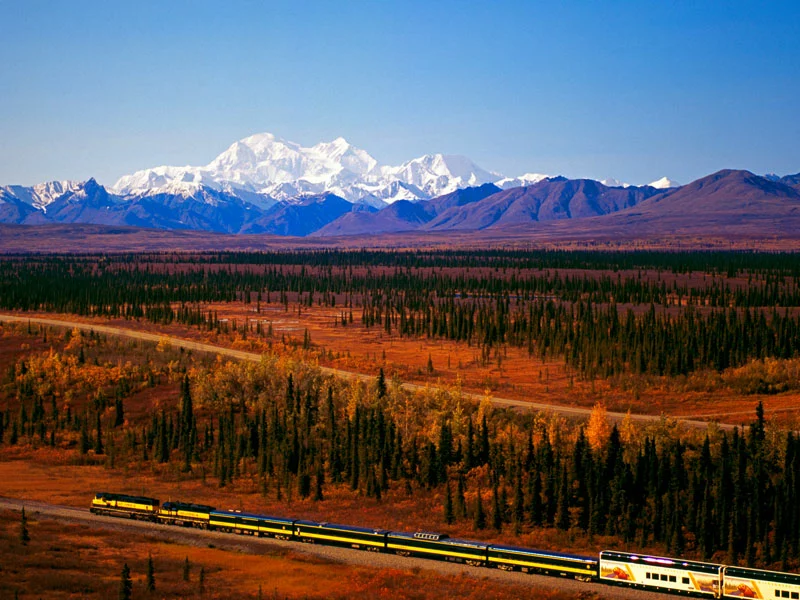 Alaska Stillpoint Lodge with Denali by Train | Denali with Alaska Railroad