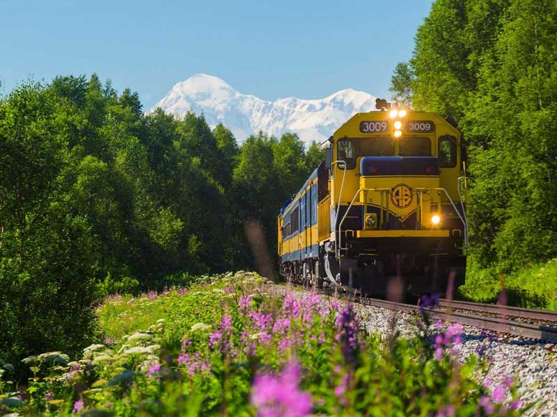 Alaska Denali Train Tour | Alaska Railroad