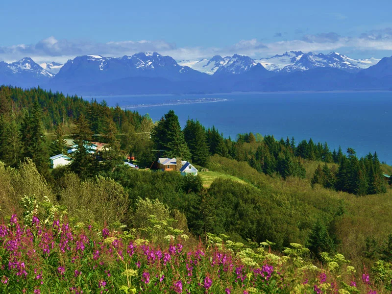 Alaska’s Mountains, Glaciers & Wildlife | Homer Alaska