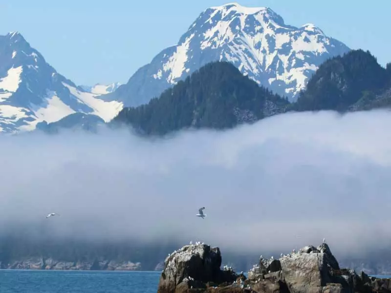 Alaska Self Drive Road Trip | Kenai Fjords National Park