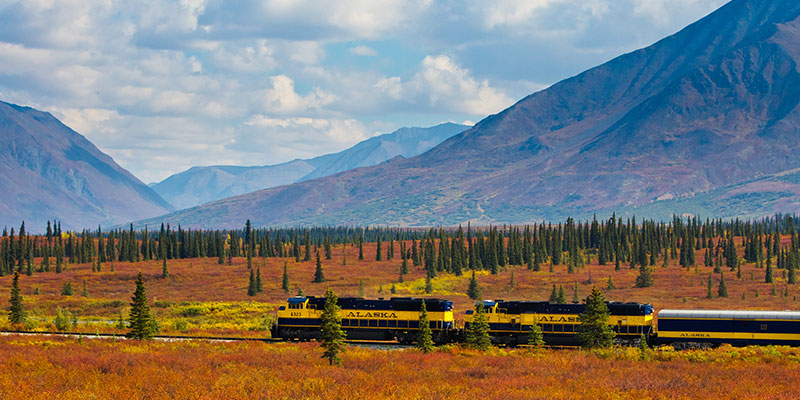 All Your Questions about Alaska Railroad, Answered