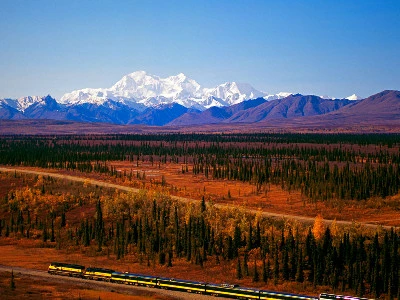 Best of Alaska, Trains, Wildlife & Denali - Cruise Connector
