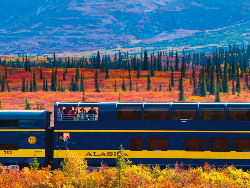 Best of Alaska, Trains, Wildlife & Denali Cruise Connector | Alaska Railroad