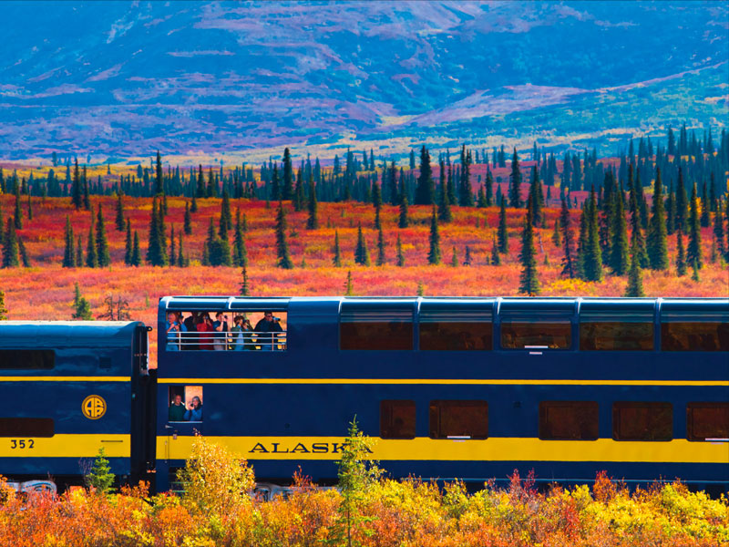 denali national park train tour