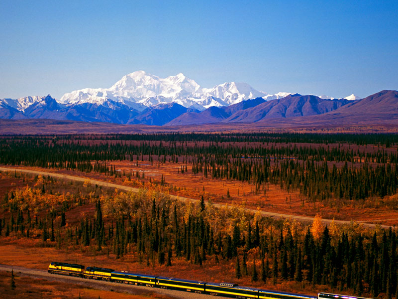 Grand Alaska Rail Cruise Connector | Alaska Railroad with Denali