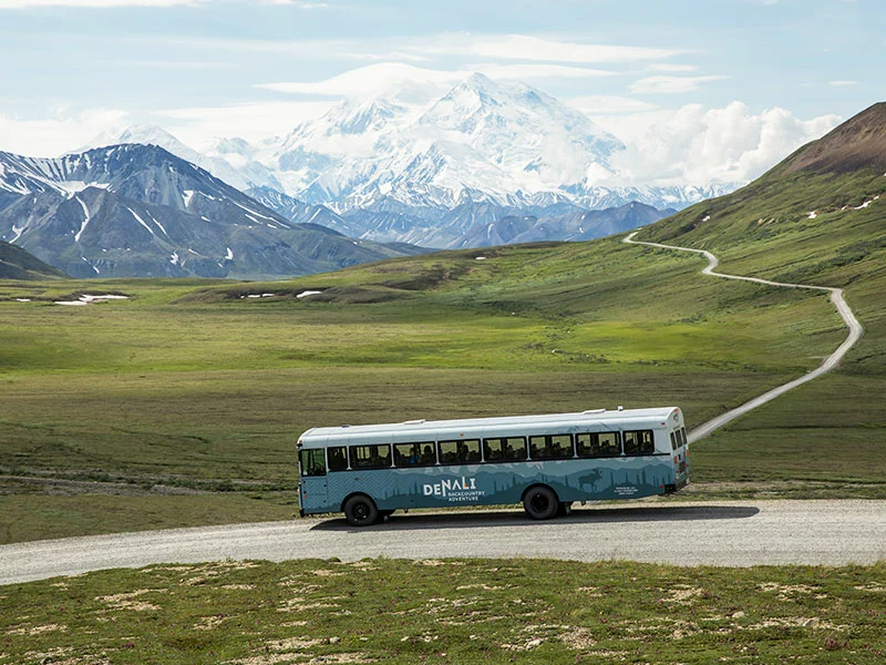 Prince William Sound Denali Explorer | Denali Backcountry Tour