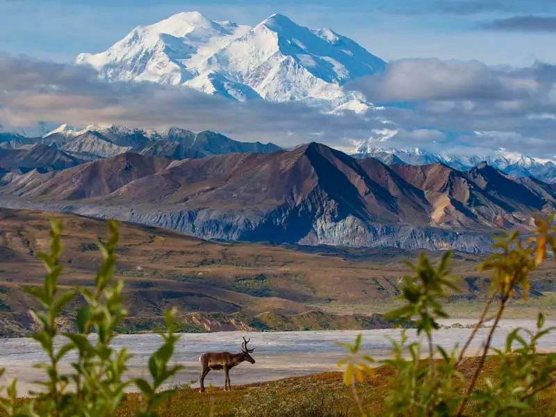 Talkeetna Denali Alaska Rail Explorer | Denali National Park